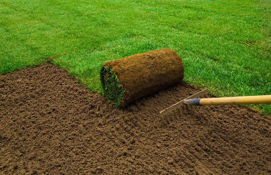 bigstock Gardener applying turf rolls i 172879922