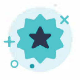 option icon 1