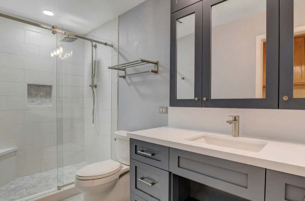 8421 Dry bathroom 01